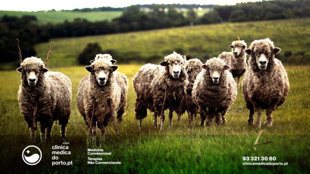 tratamento-natural-insonia-clinica-medica-do-porto