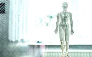 acupuntura-medicina-chinesa-clinica-medica-porto-organizacao-mundial-saude-doencas-patologia
