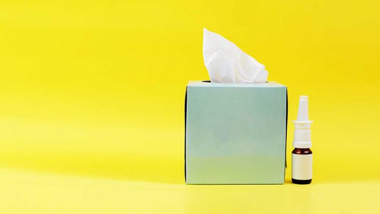 Consulta-imuno-alergia-clinica-medica-do-porto 2