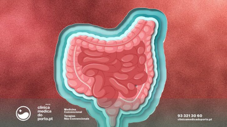 Imagem de Intestino - simbolizando saúde intestinal